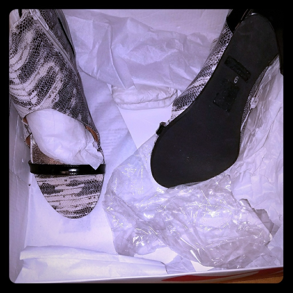 Jeffery Campbell high heel